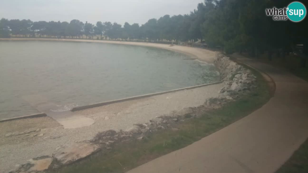 Novigrad – Plaža Karpinjan