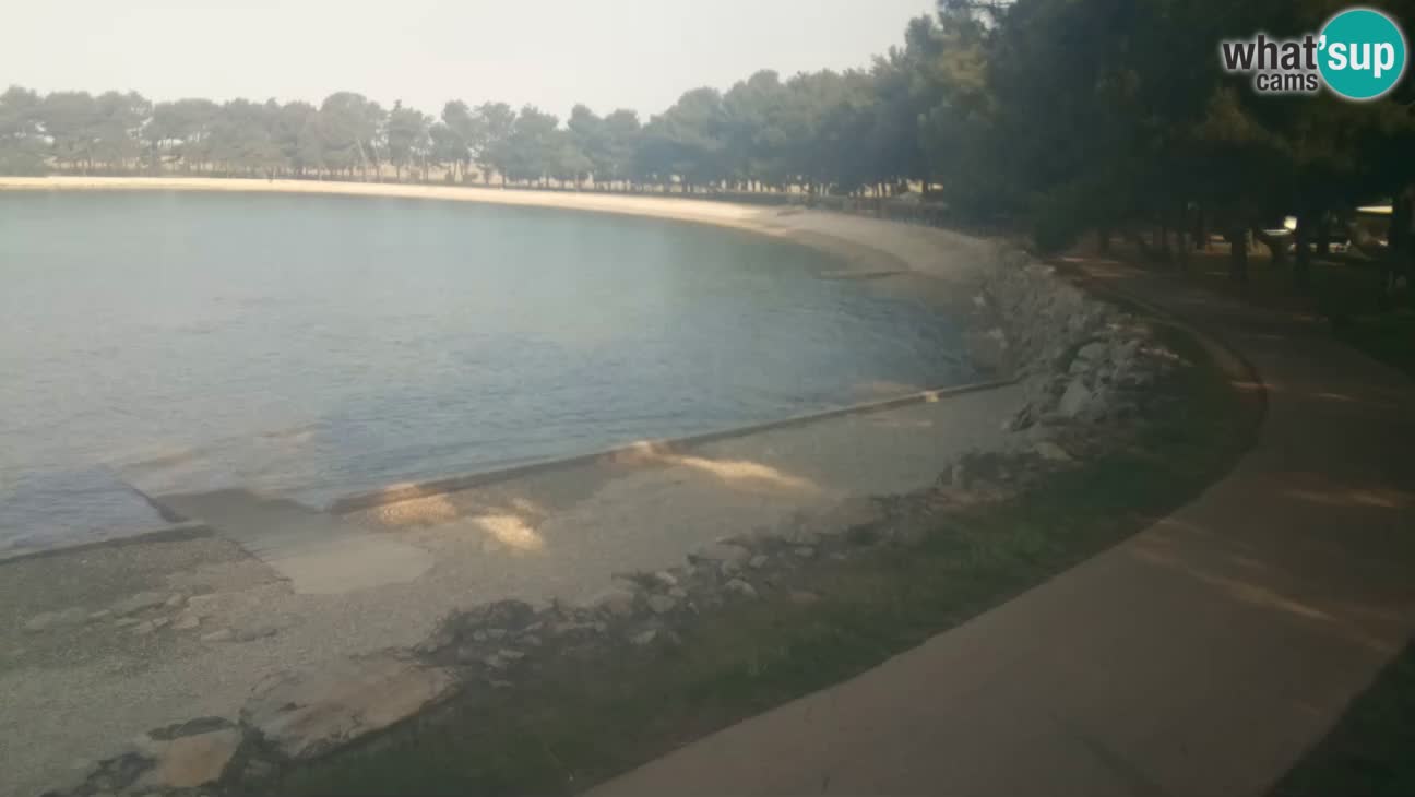 Novigrad live cam – Karpinjan beach