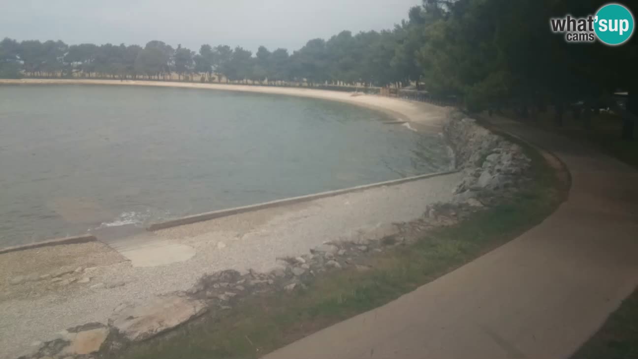 Novigrad live cam – Karpinjan beach