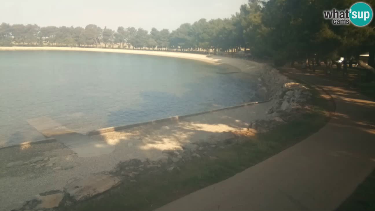 Novigrad live cam – Karpinjan beach