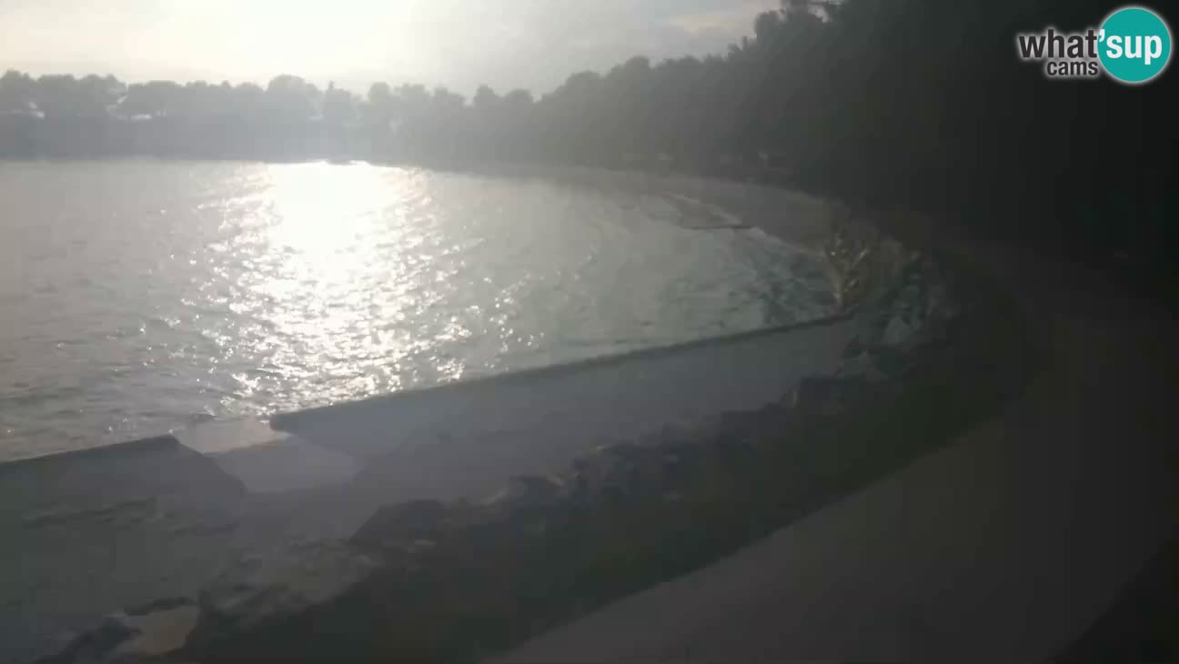 Novigrad live cam – Karpinjan beach