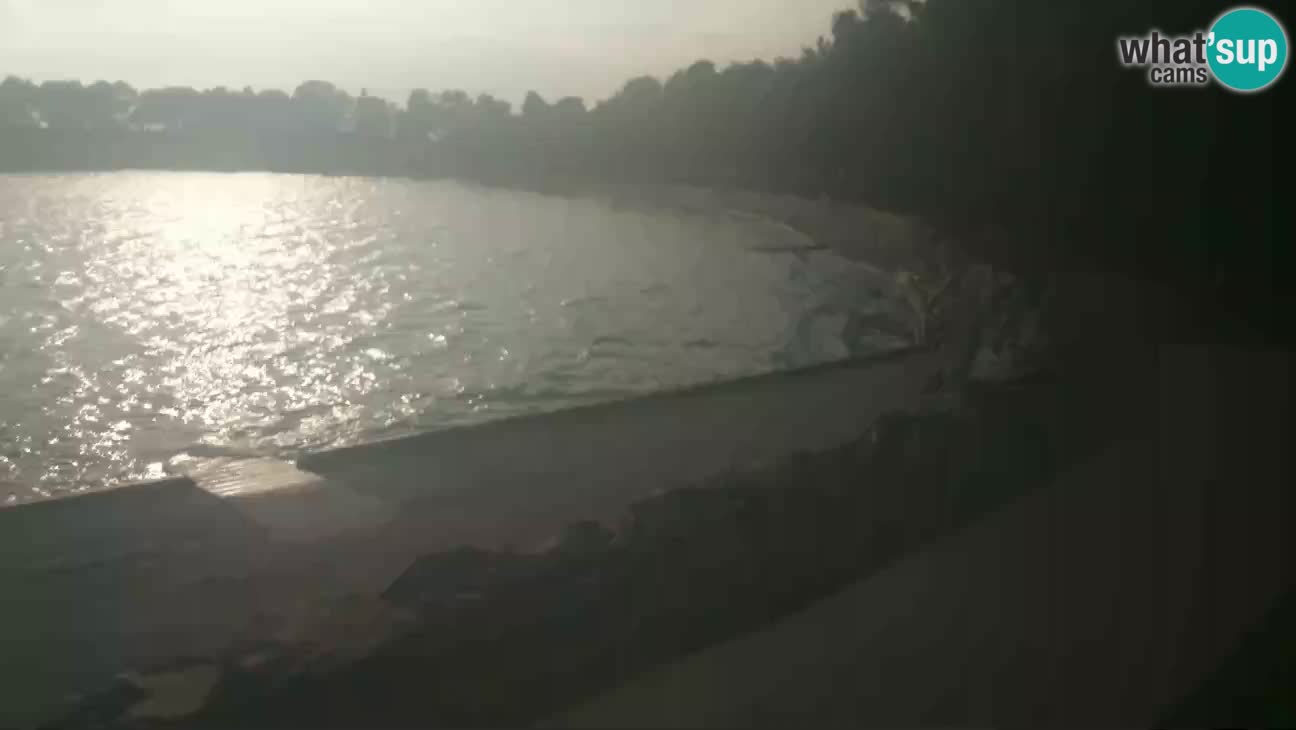 Novigrad live cam – Karpinjan beach