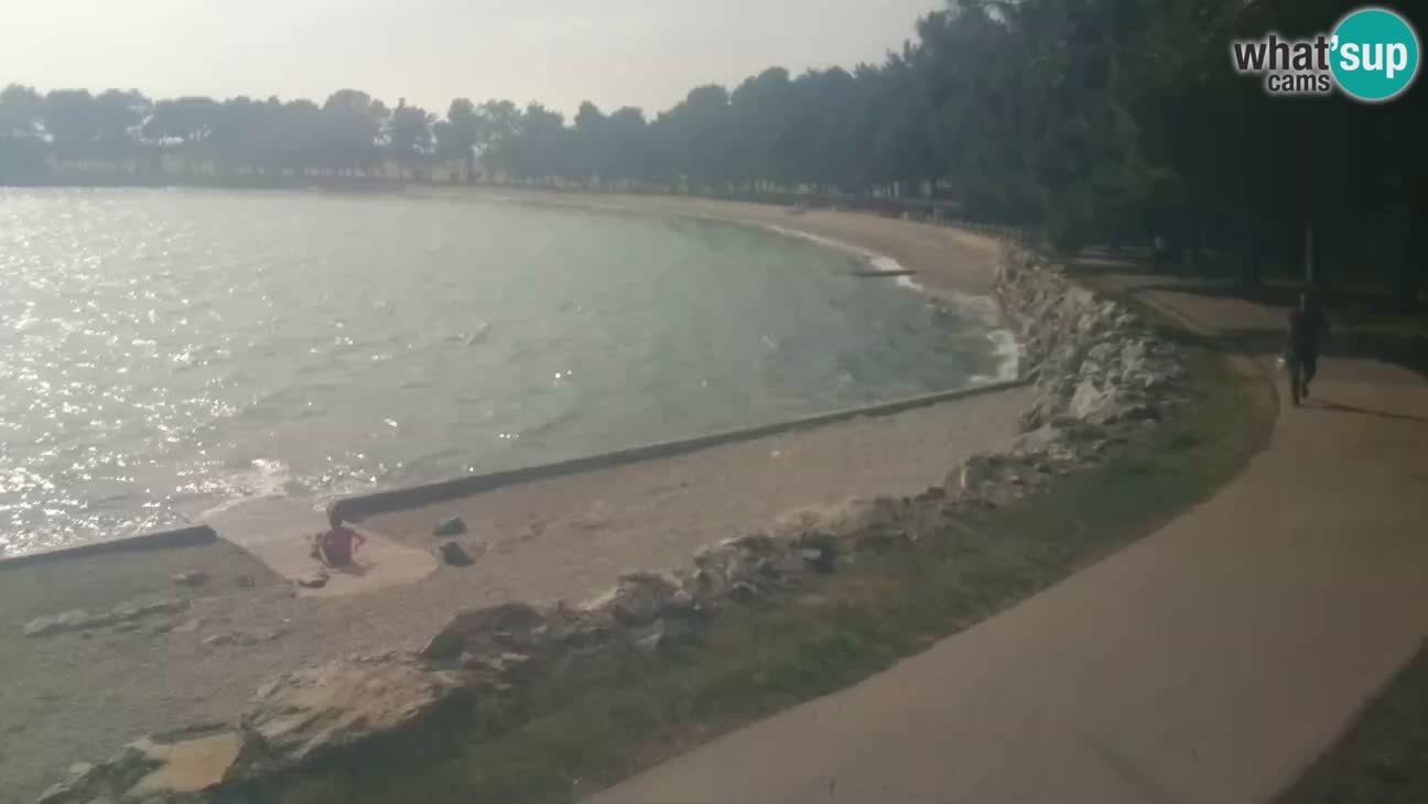 Novigrad live cam – Karpinjan beach