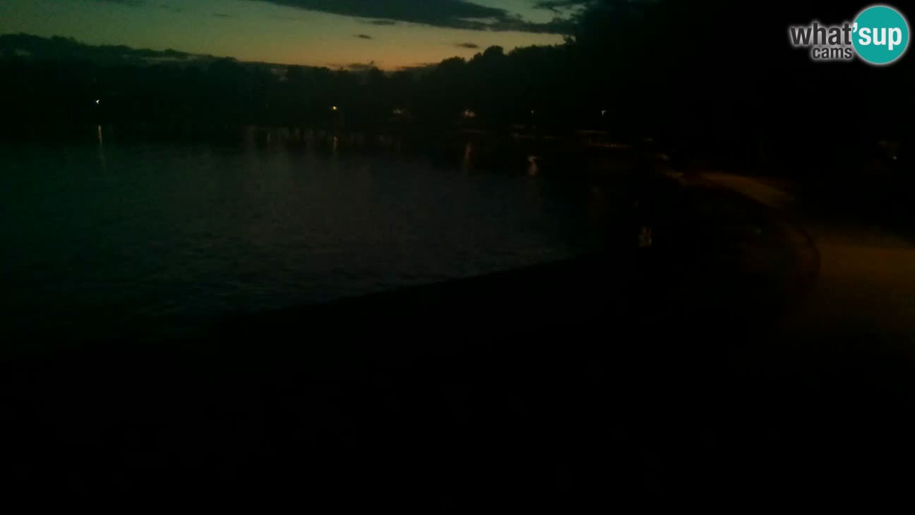 Novigrad live cam – Karpinjan beach