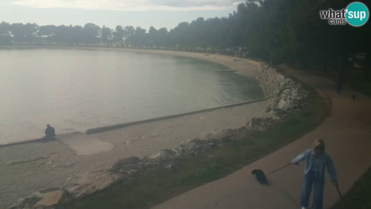 Novigrad – Plaža Karpinjan