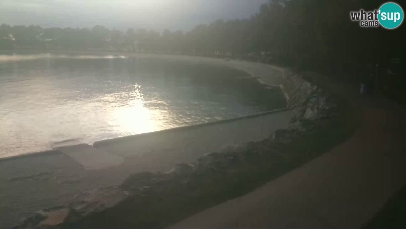 Novigrad live cam – Karpinjan beach