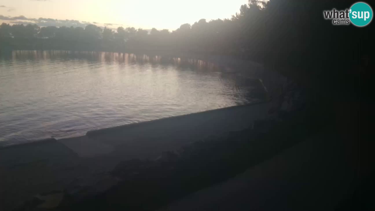 Novigrad – Plaža Karpinjan