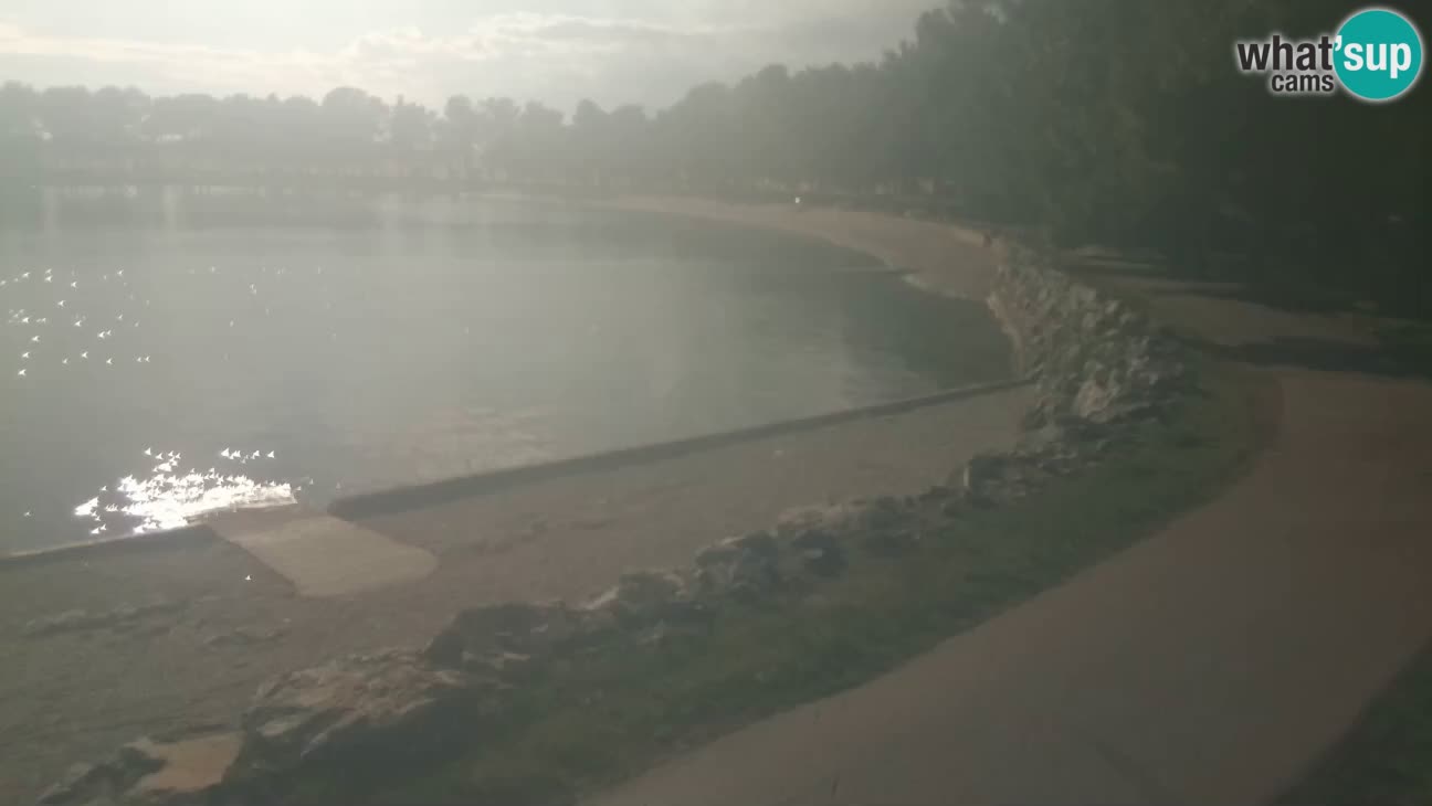 Novigrad – Plaža Karpinjan