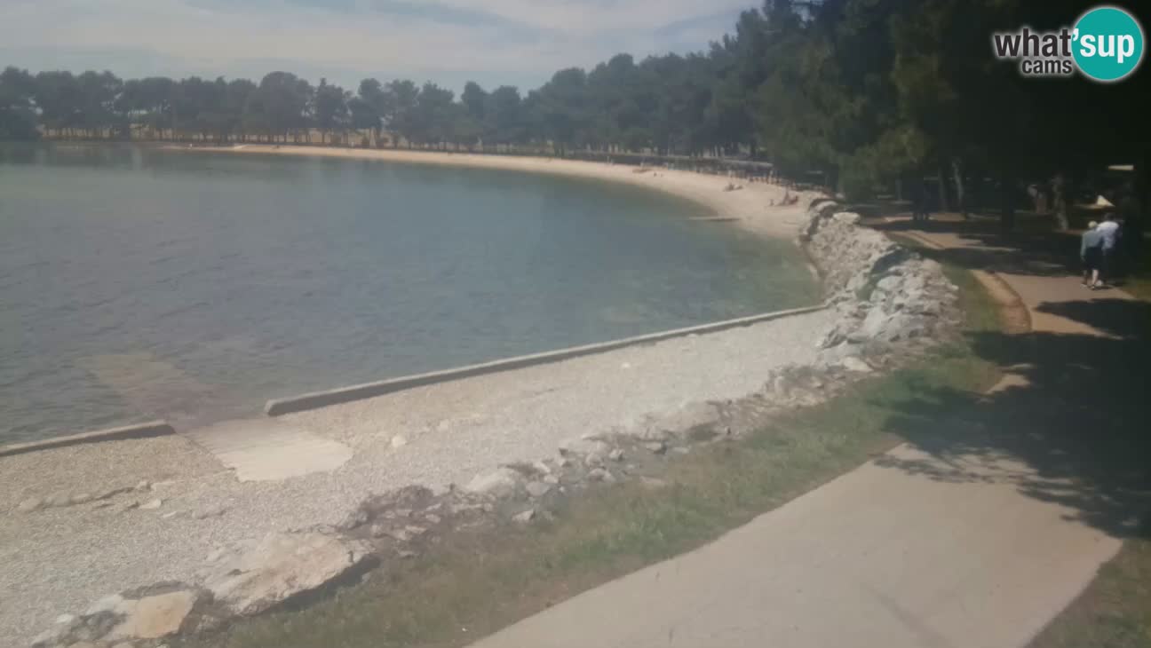 Novigrad live cam – Karpinjan beach