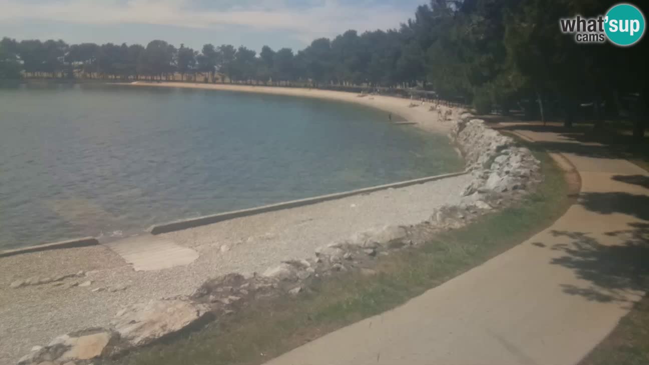 Novigrad – Plaža Karpinjan