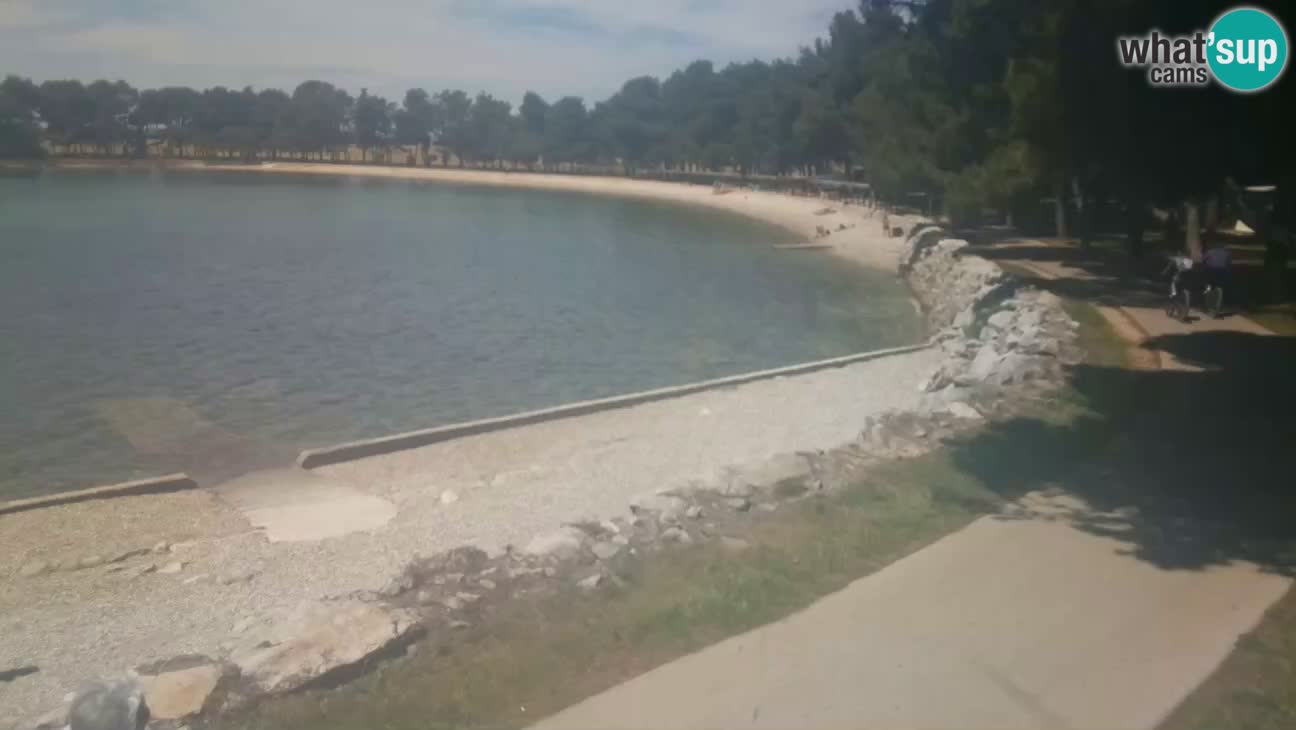 Novigrad – Strand Karpinjan webcam