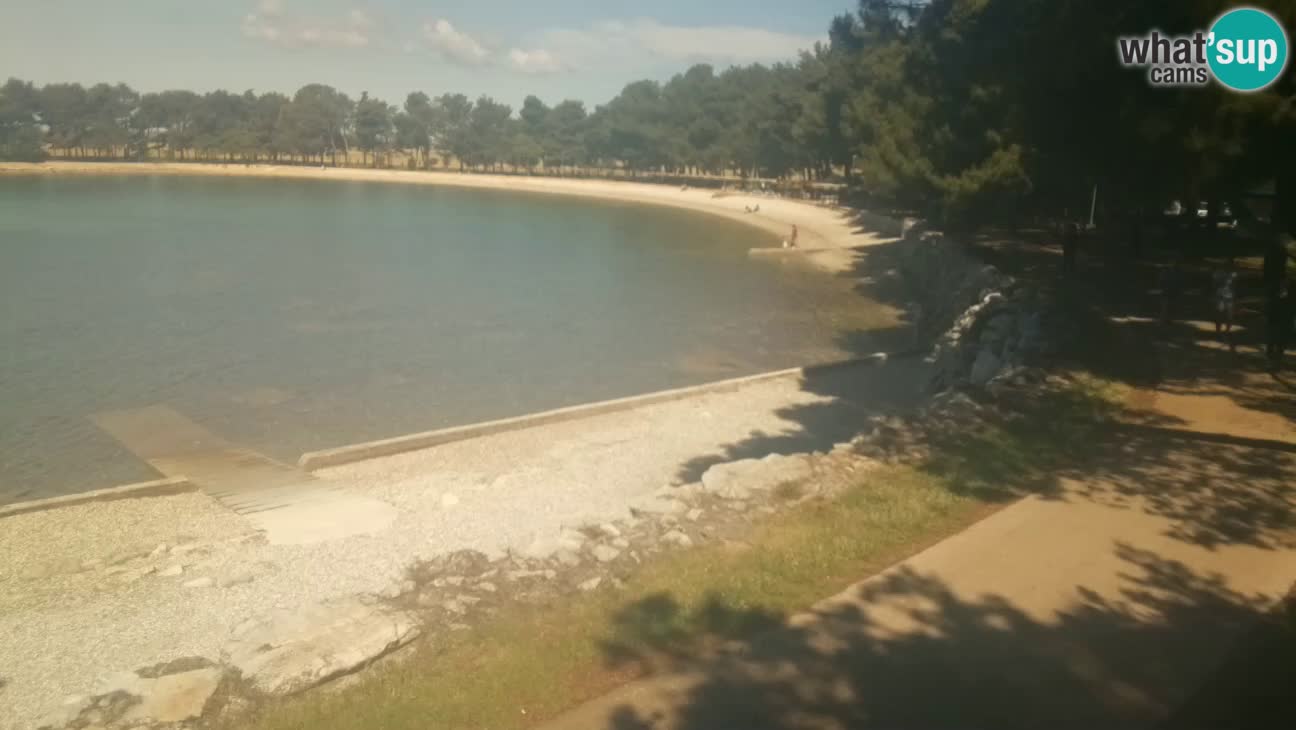 Novigrad – Plaža Karpinjan