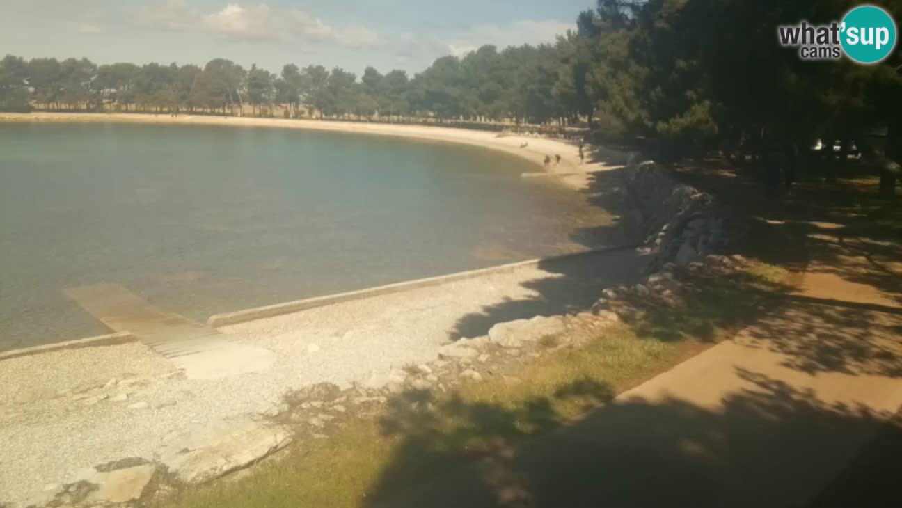 Novigrad – Plaža Karpinjan