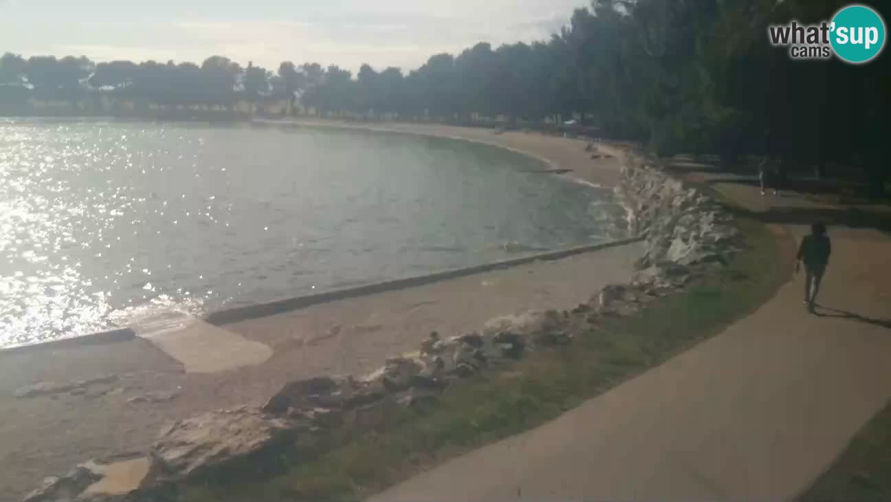 Novigrad – Playa Karpinjan