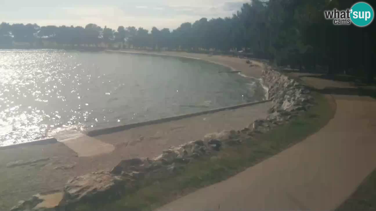 Novigrad – Plaža Karpinjan