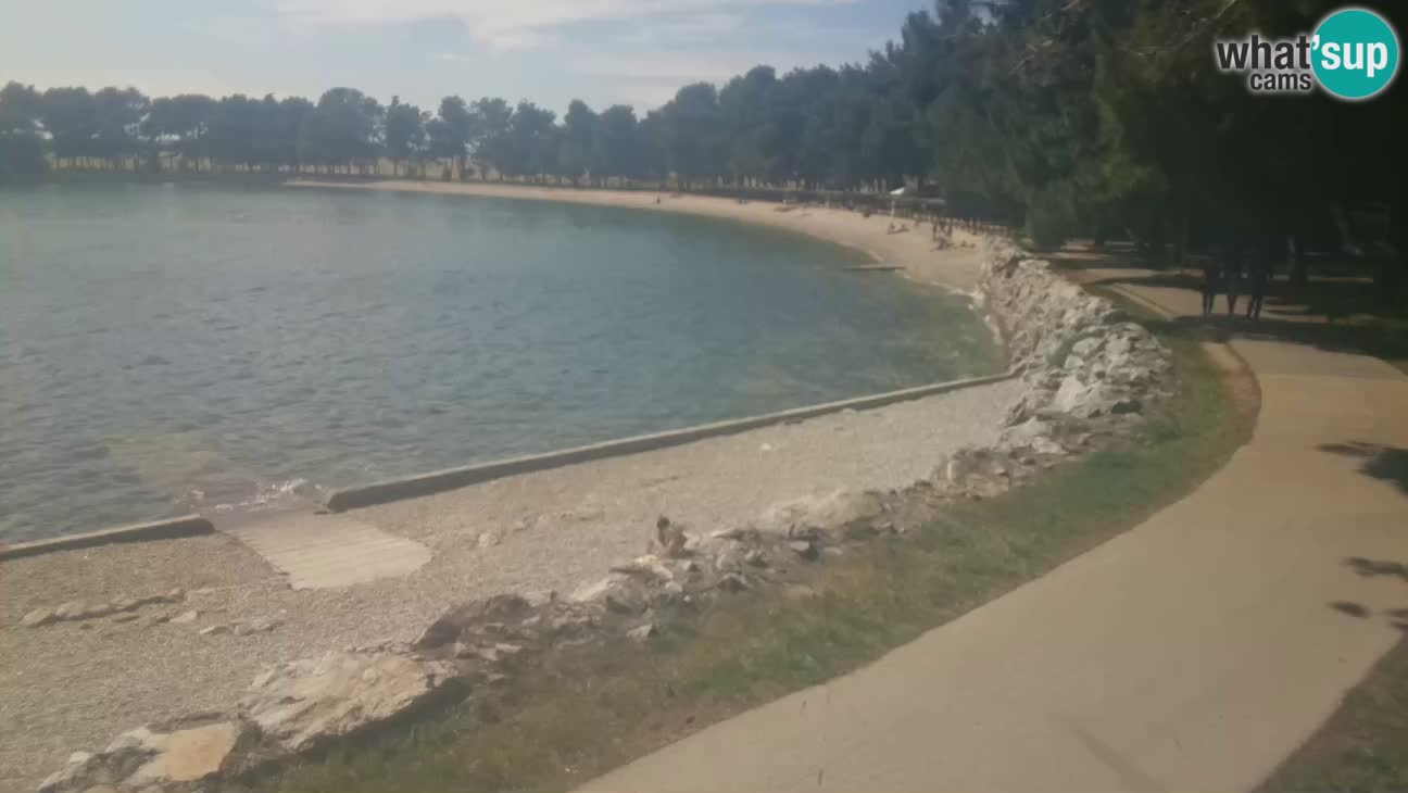 Novigrad live cam – Karpinjan beach