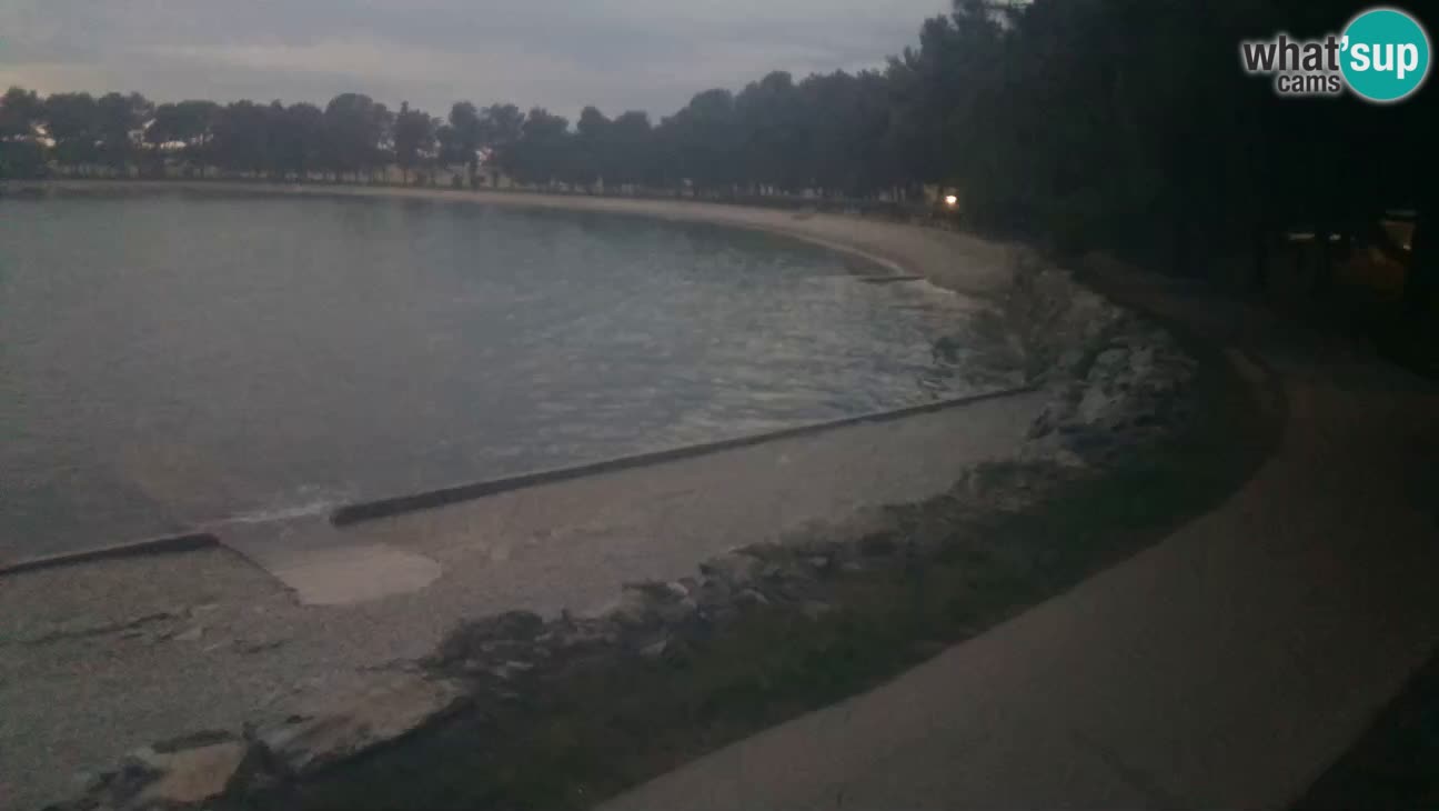 Novigrad live cam – Karpinjan beach