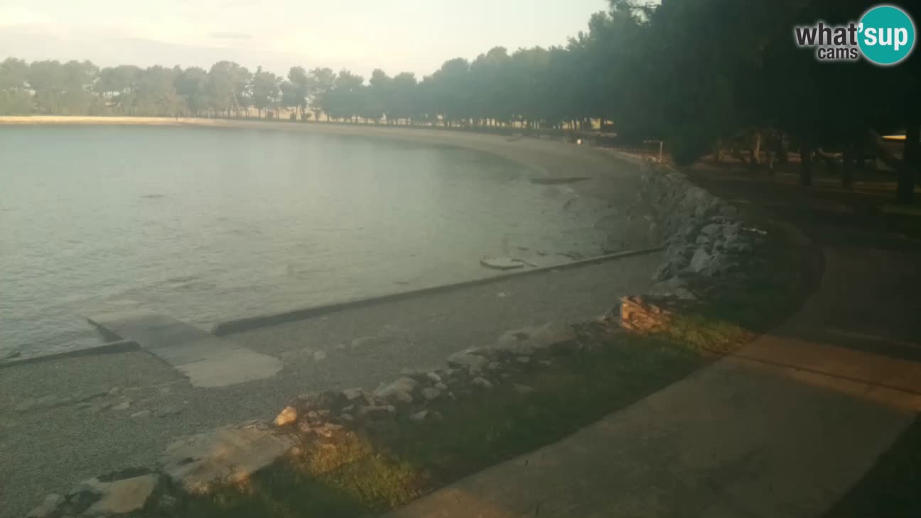 Novigrad – Plage Karpinjan