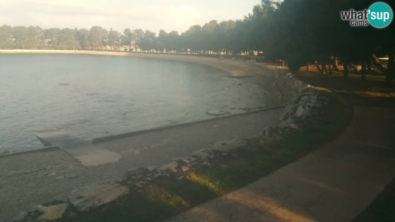 Novigrad – Plage Karpinjan
