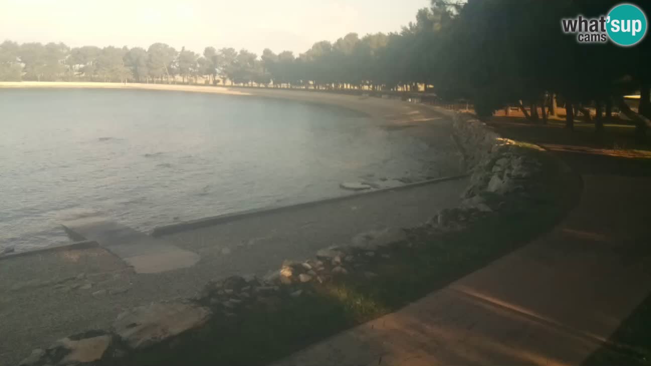 Novigrad – Strand Karpinjan webcam