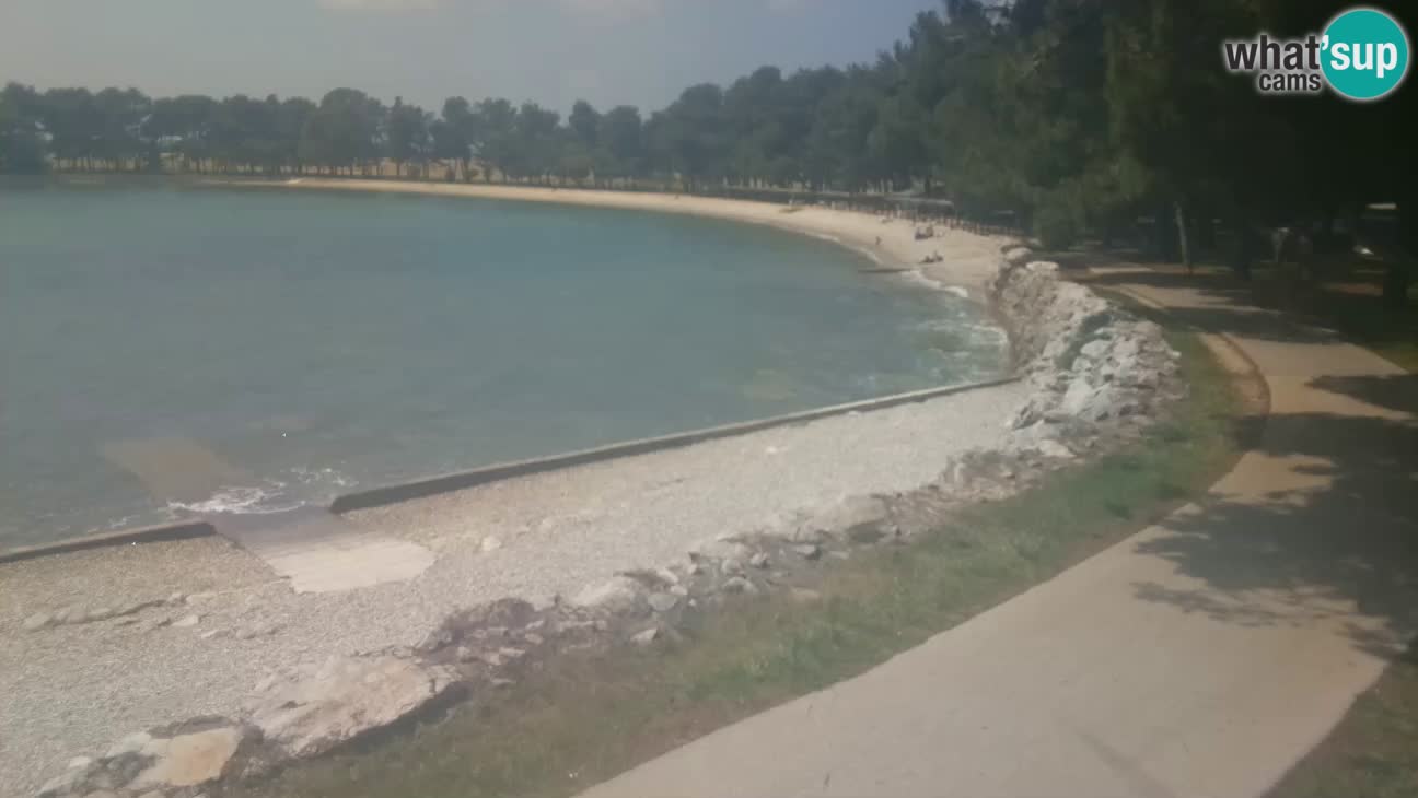 Novigrad – Plaža Karpinjan