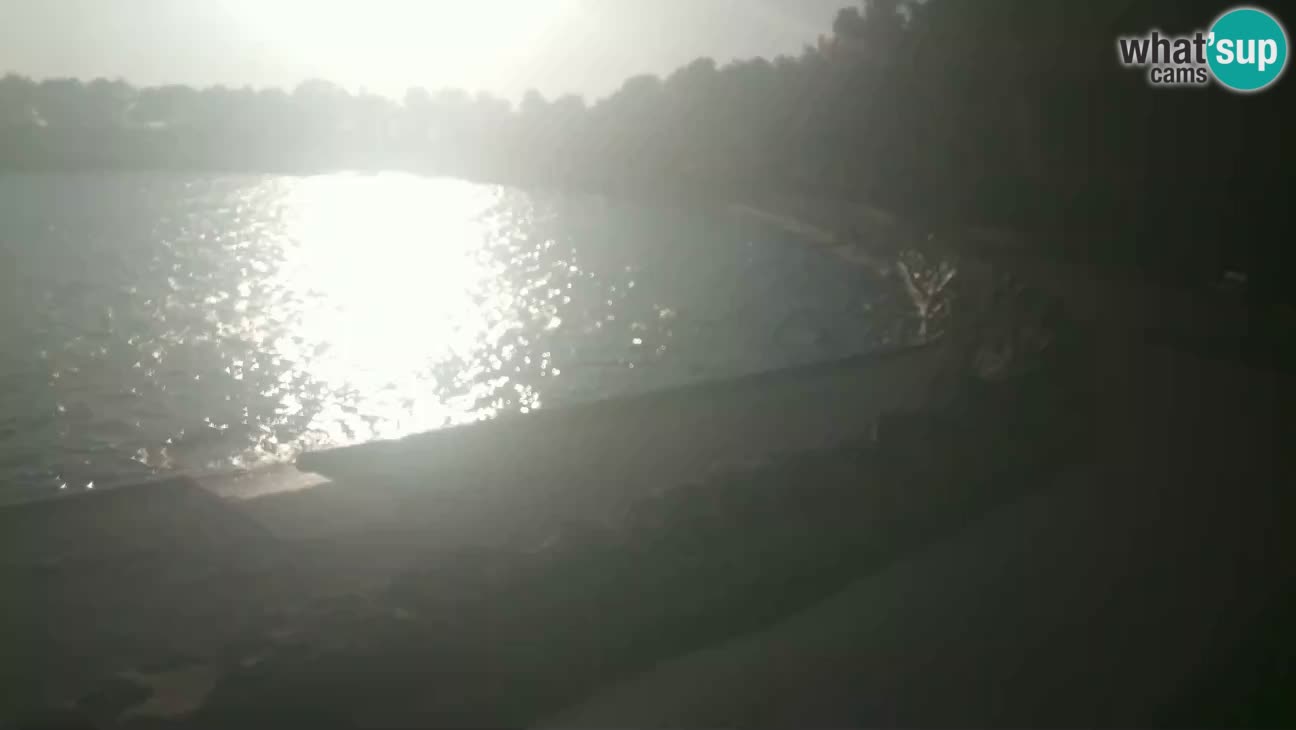 Novigrad – Plaža Karpinjan