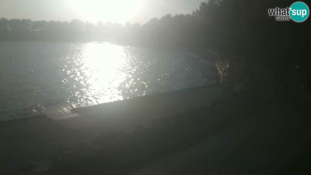 Novigrad – Plage Karpinjan