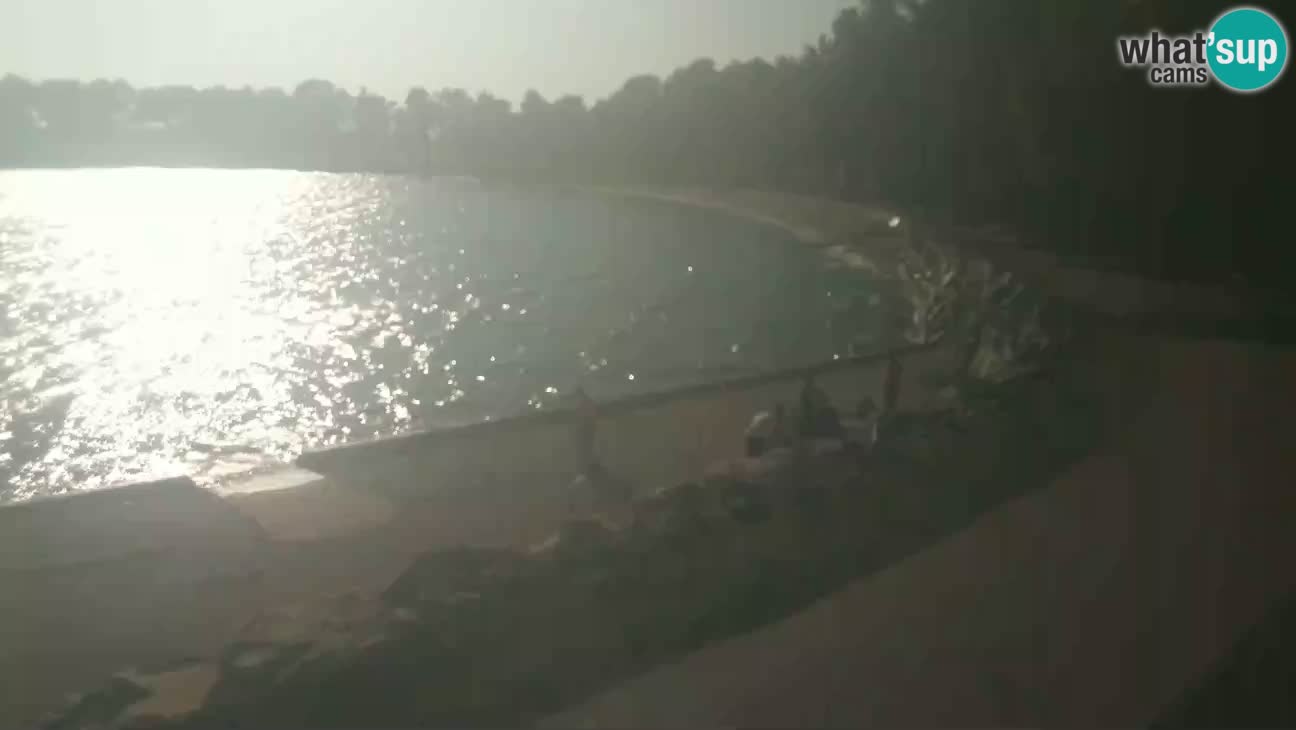 Cittanova – Spiaggia Karpinjan