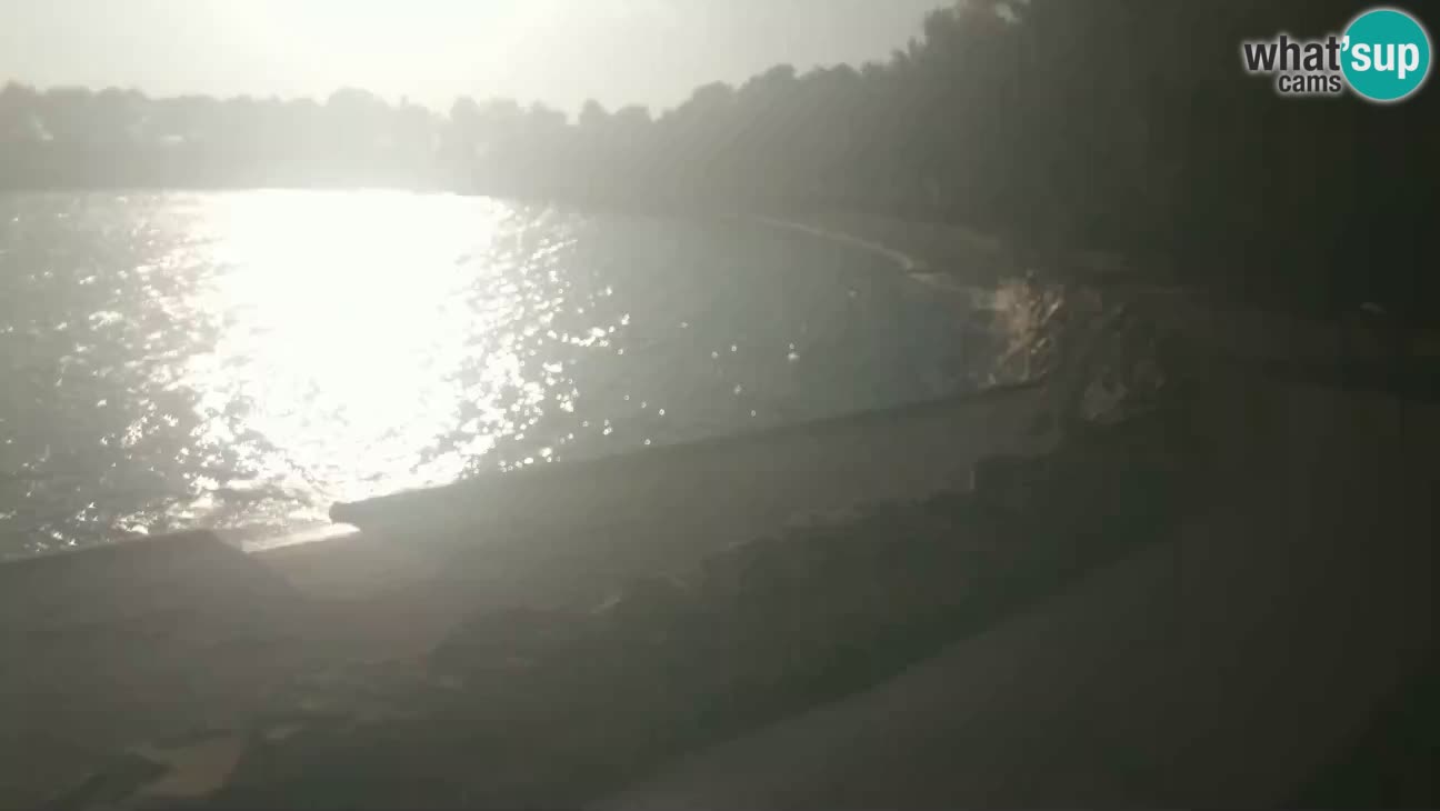 Novigrad – Plage Karpinjan