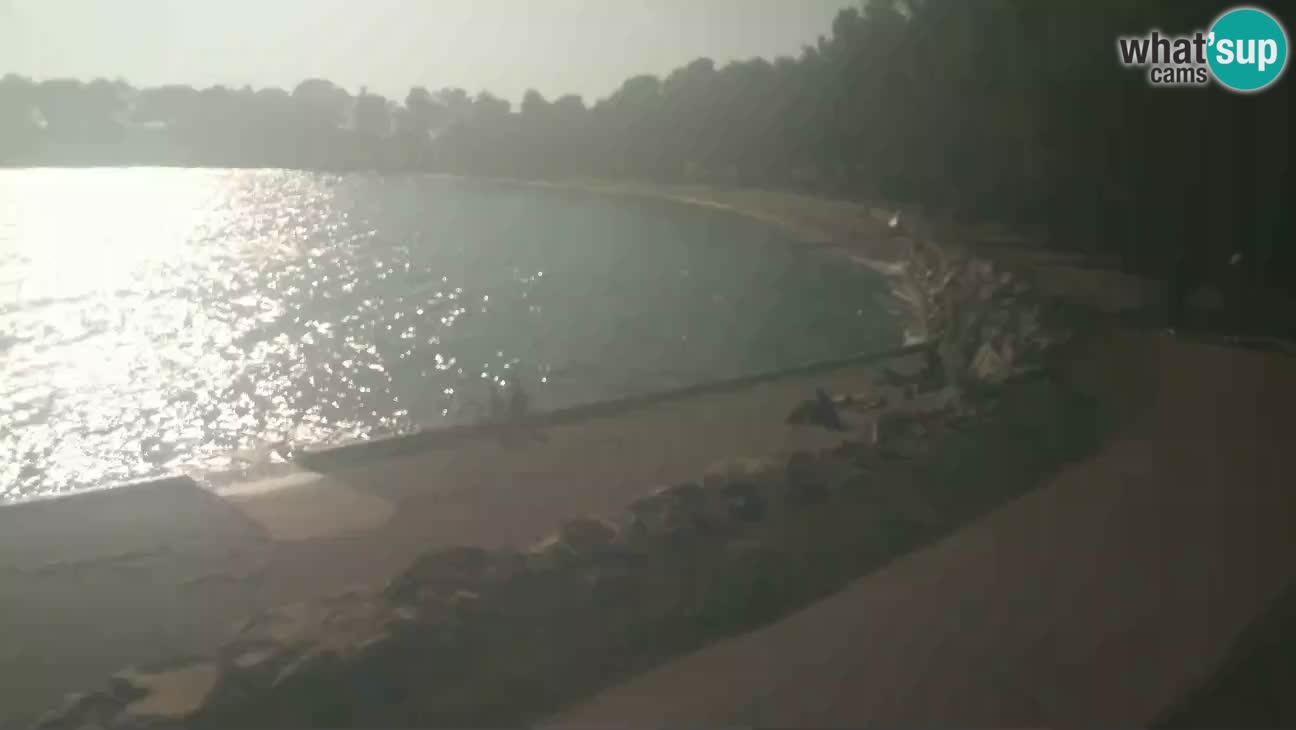 Novigrad live cam – Karpinjan beach