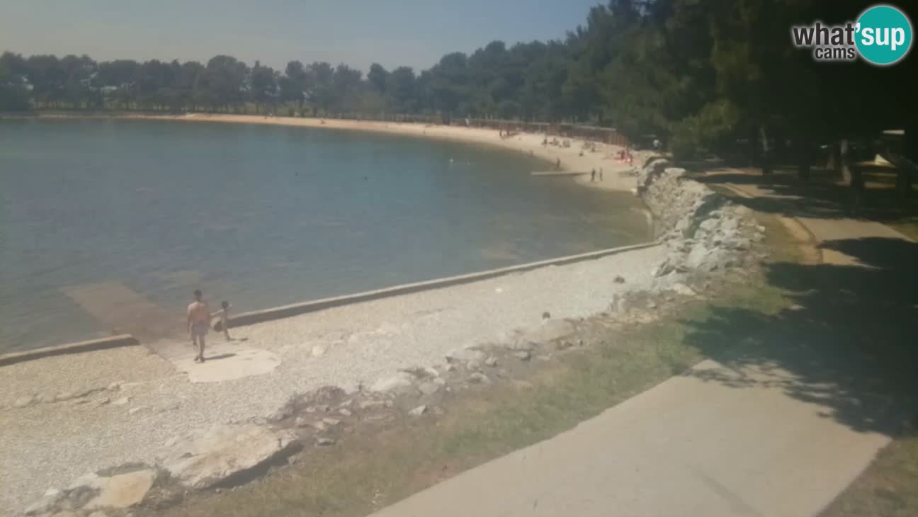 Novigrad live cam – Karpinjan beach
