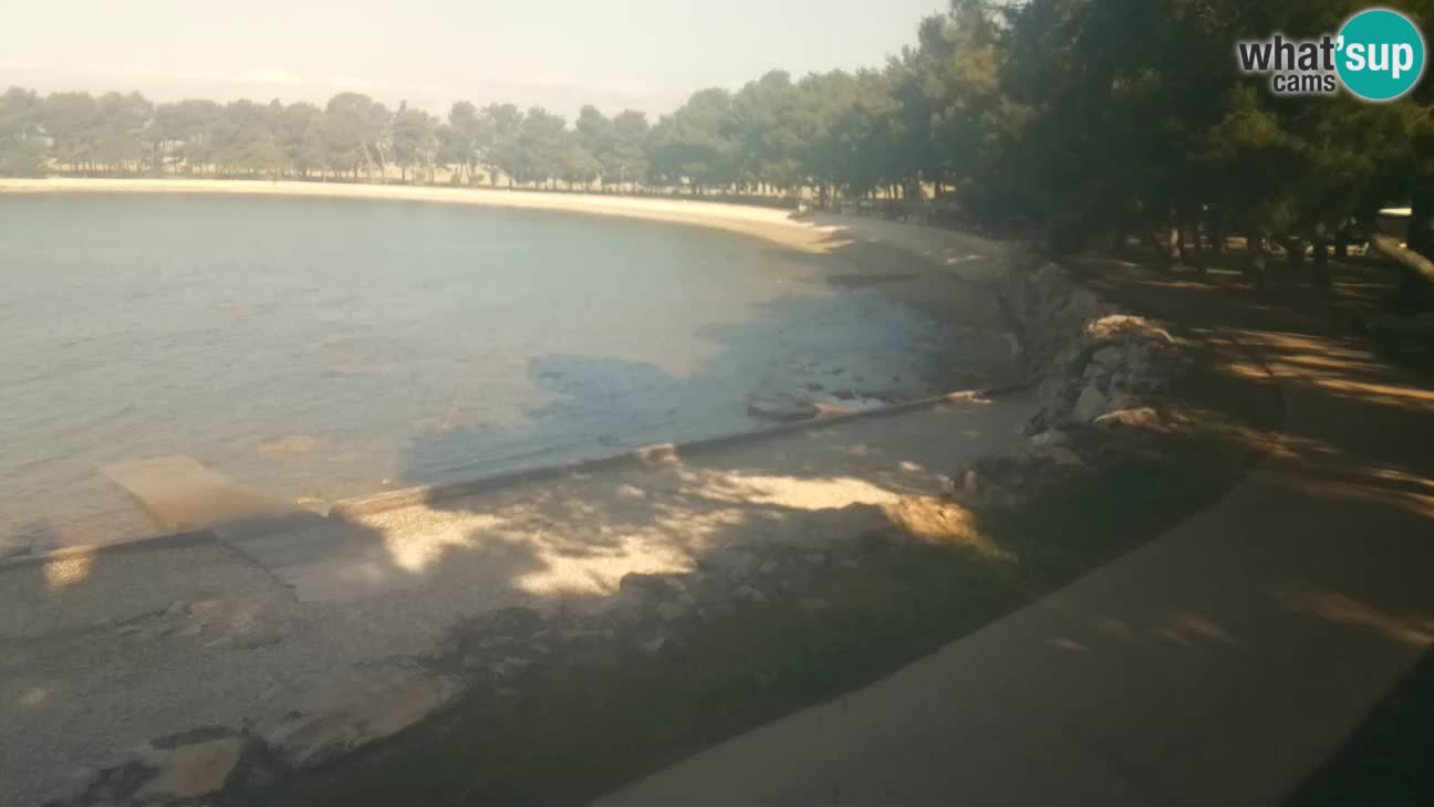 Novigrad – Strand Karpinjan webcam