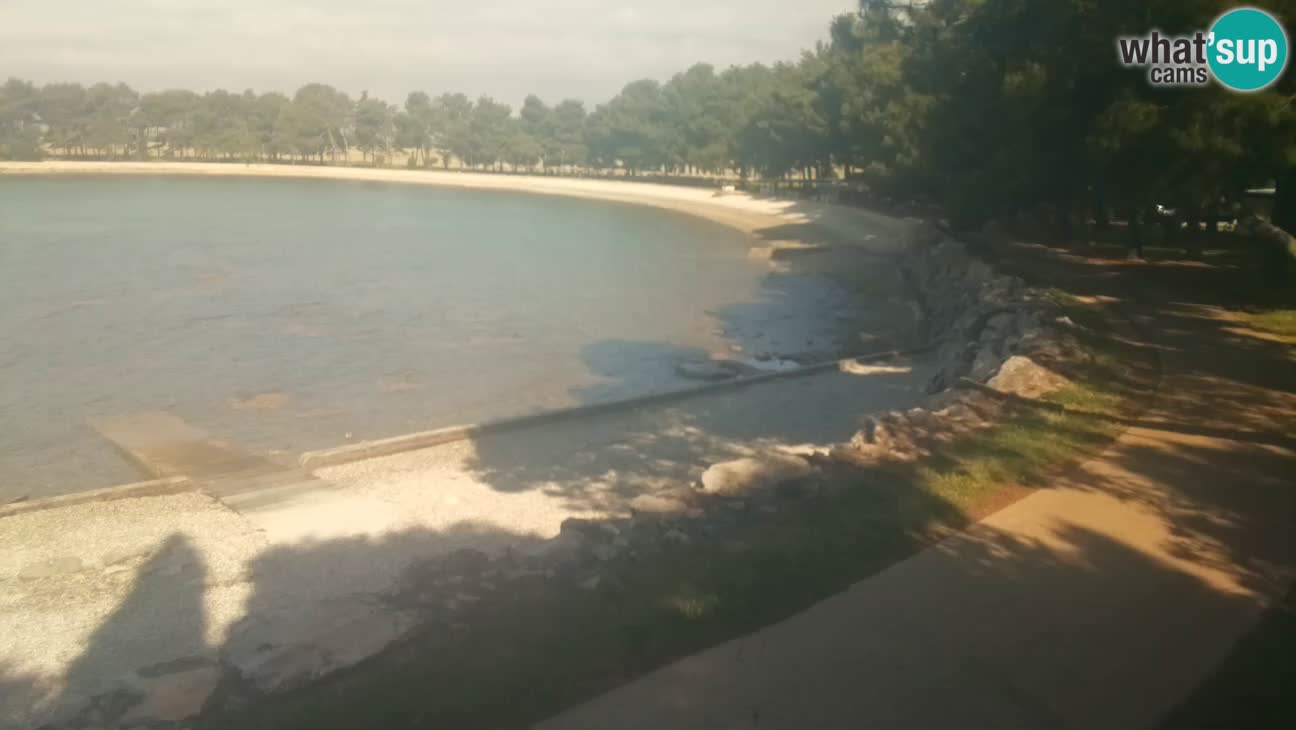 Novigrad – Playa Karpinjan