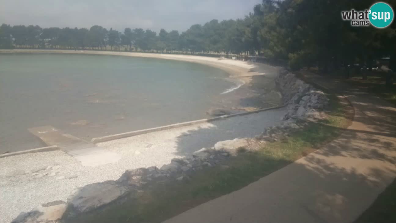 Novigrad live cam – Karpinjan beach