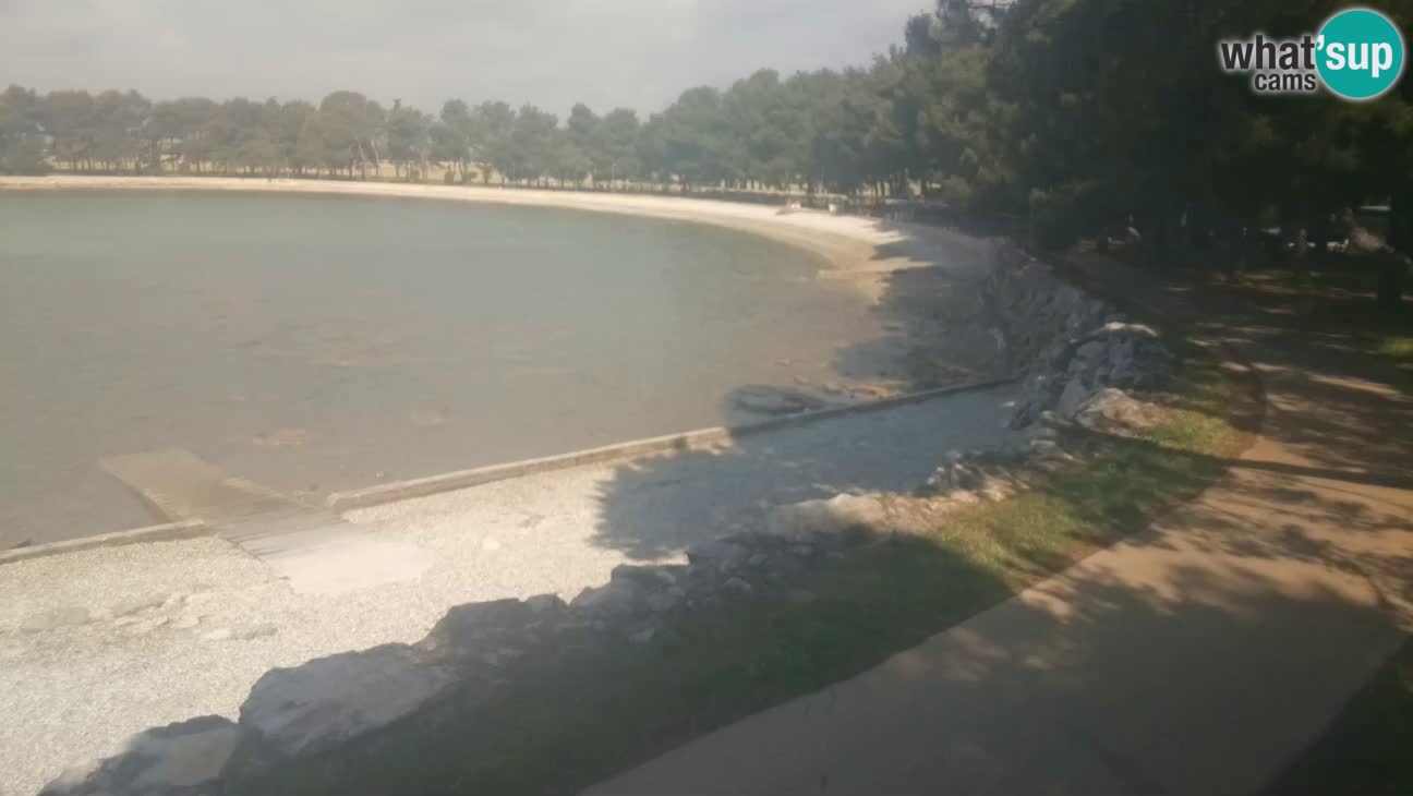 Novigrad – Playa Karpinjan
