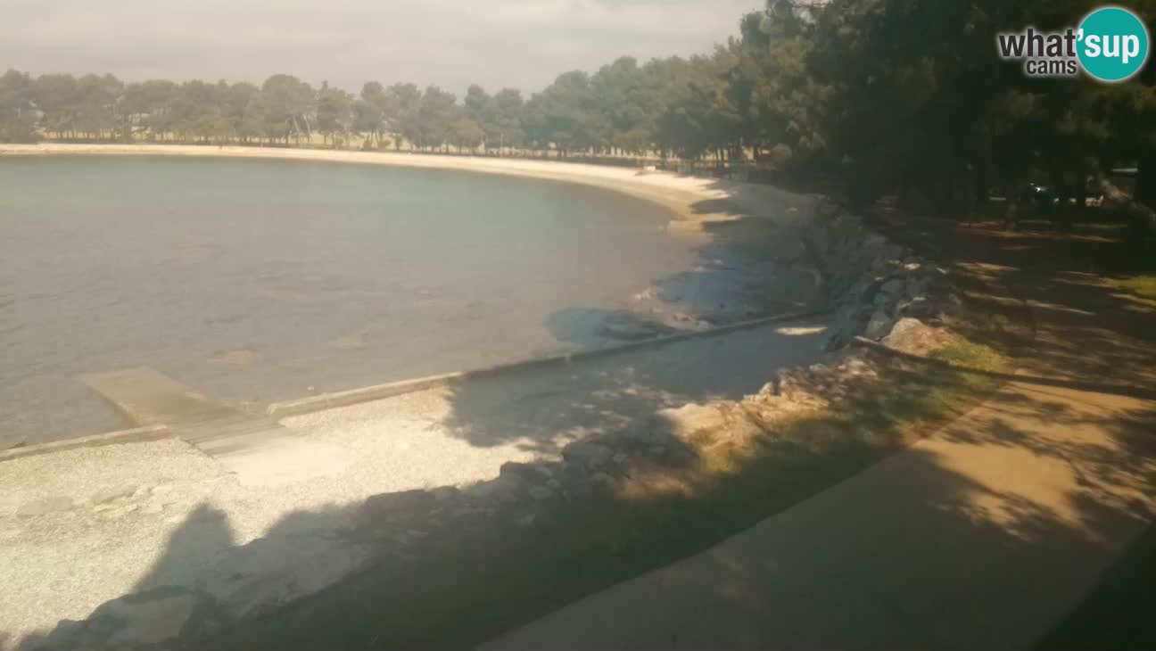 Novigrad – Plaža Karpinjan