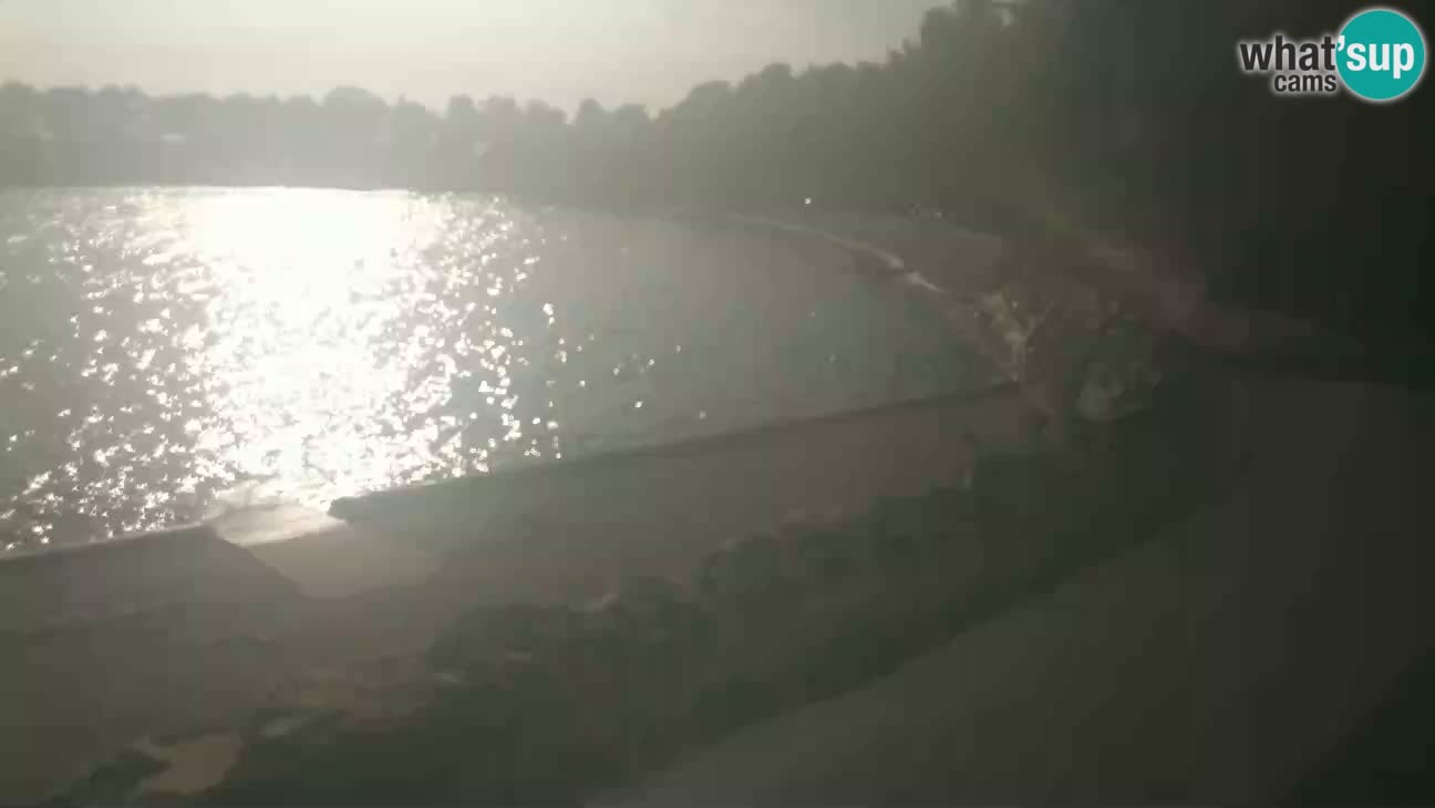 Novigrad – Playa Karpinjan