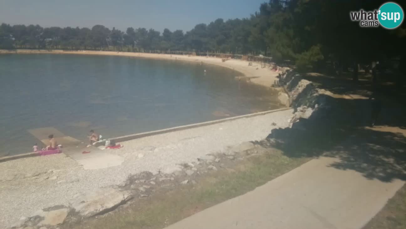 Novigrad live cam – Karpinjan beach