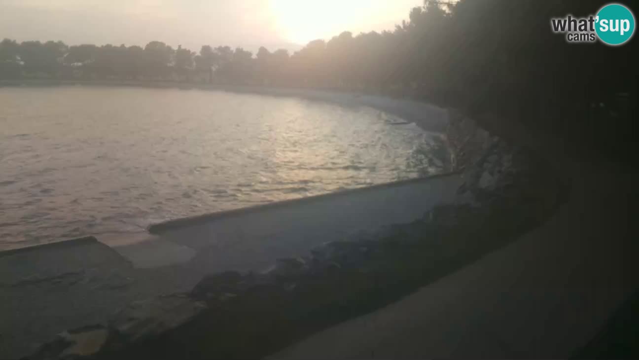 Novigrad – Playa Karpinjan