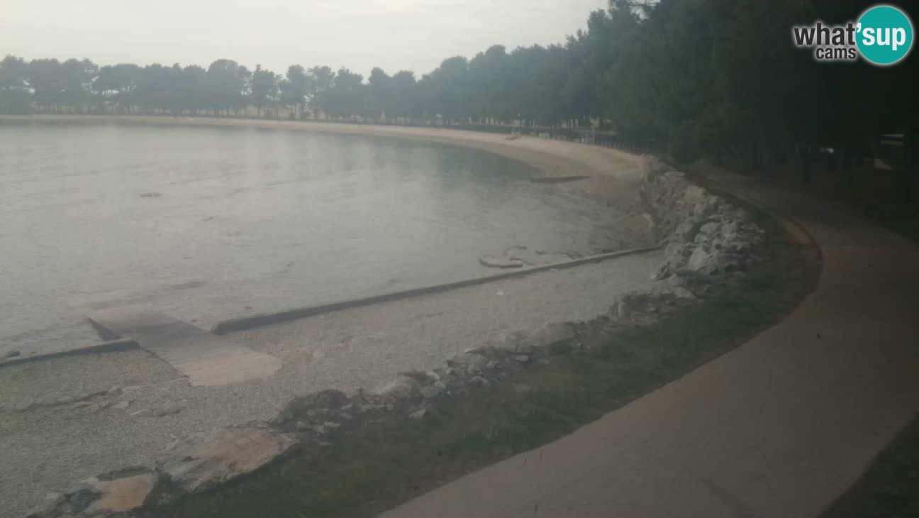 Novigrad – Playa Karpinjan