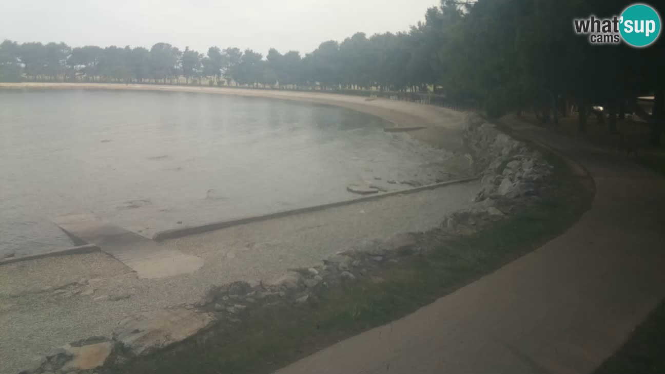Novigrad – Plaža Karpinjan