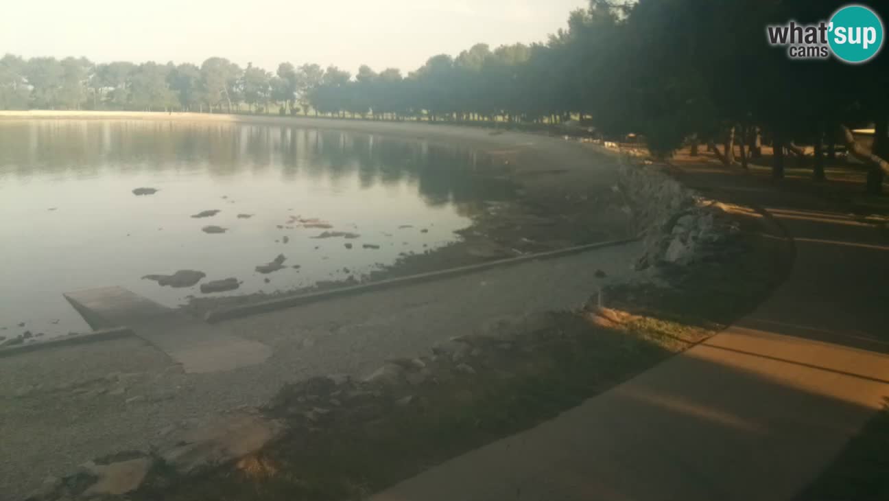 Novigrad live cam – Karpinjan beach