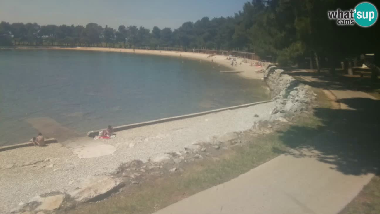 Novigrad – Playa Karpinjan