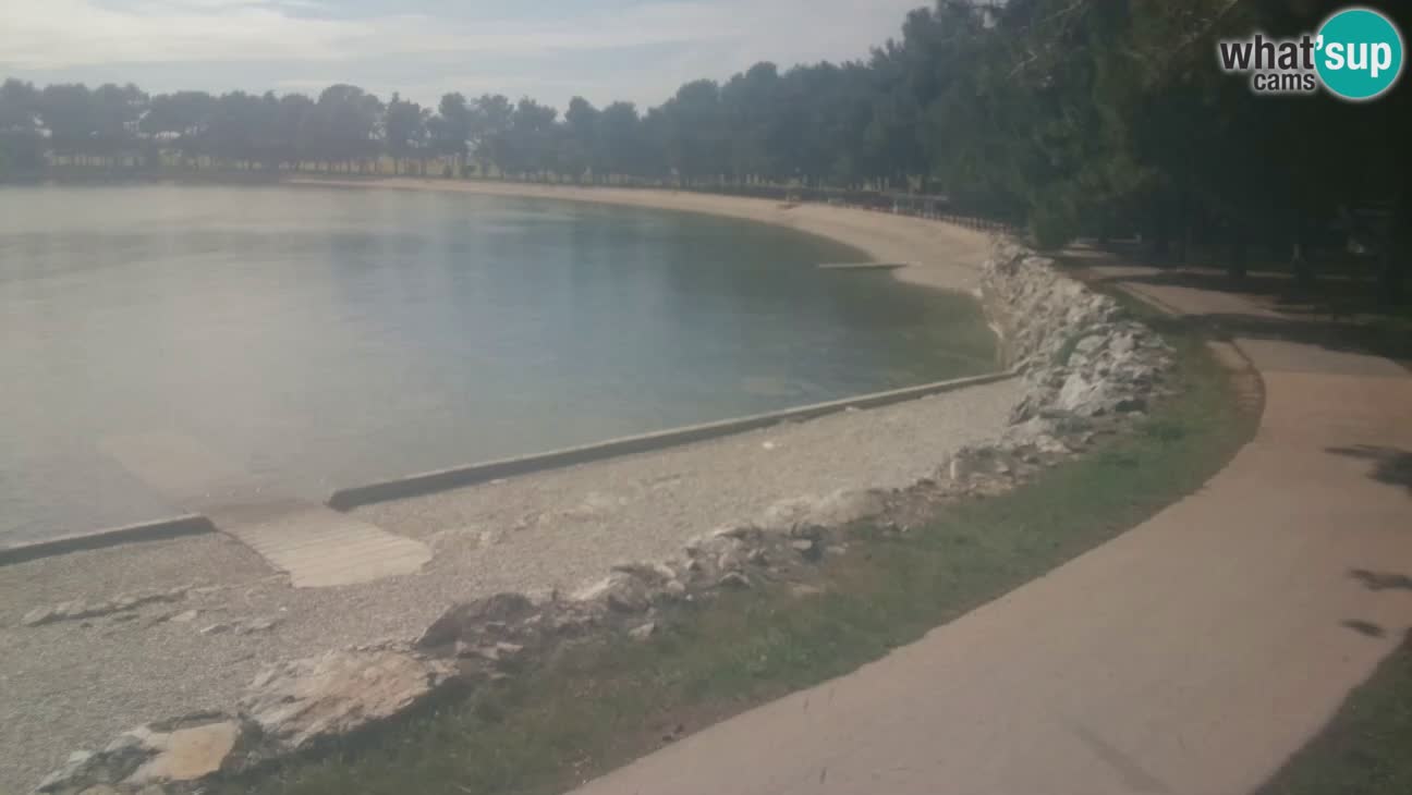 Novigrad live cam – Karpinjan beach