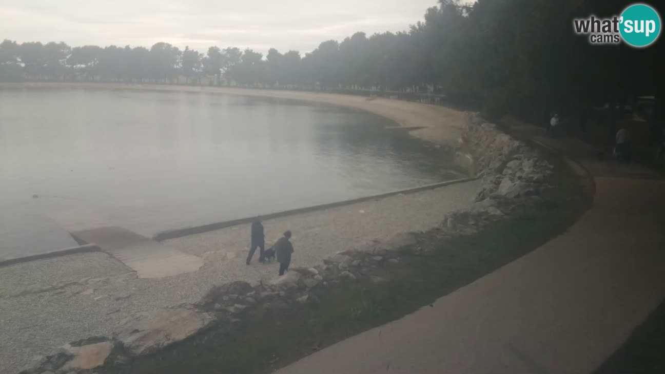 Novigrad – Playa Karpinjan
