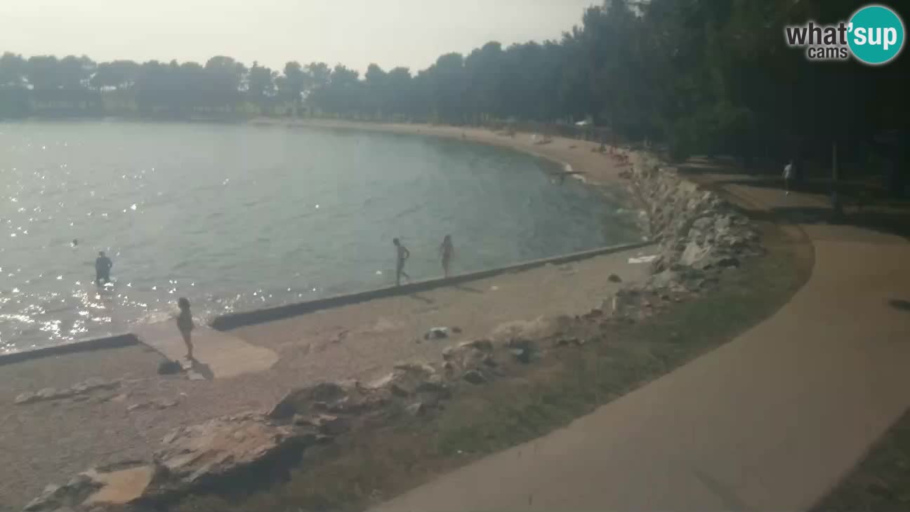 Novigrad – Plage Karpinjan