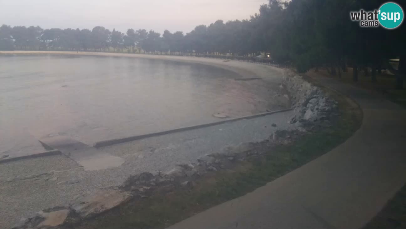 Novigrad live cam – Karpinjan beach