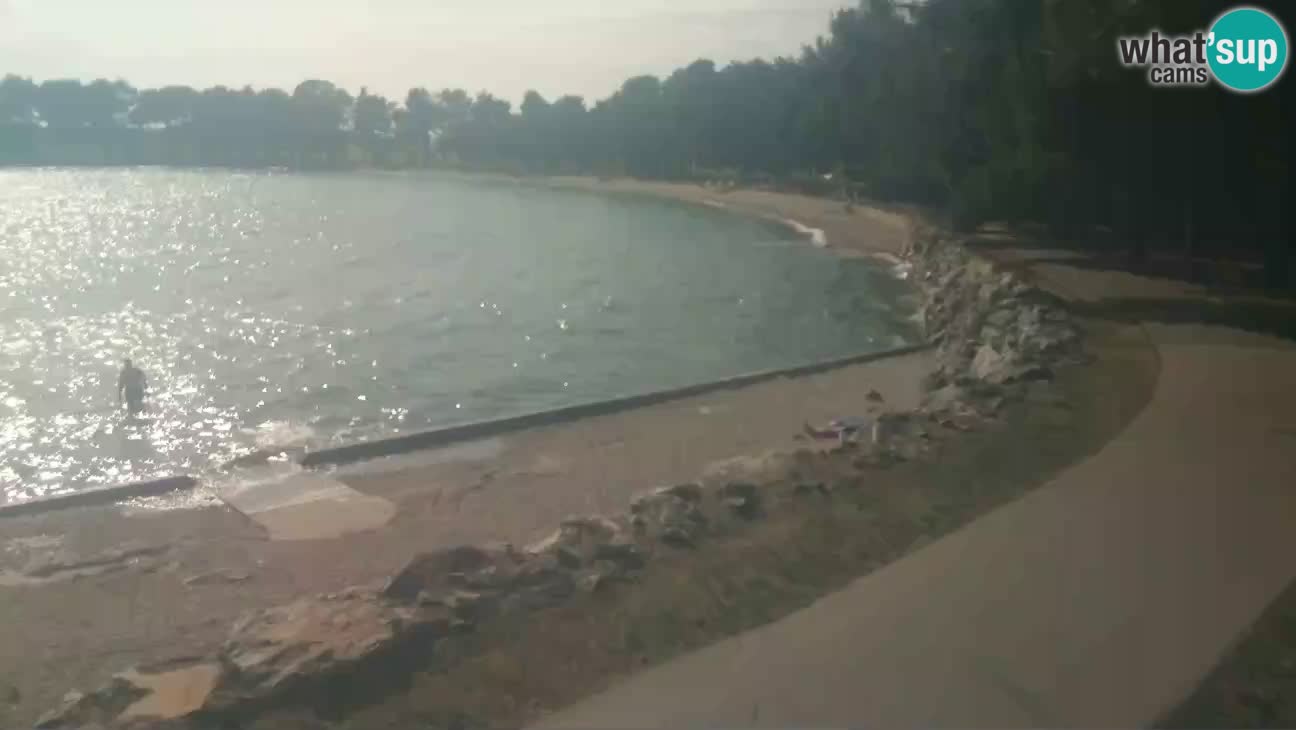 Novigrad live cam – Karpinjan beach