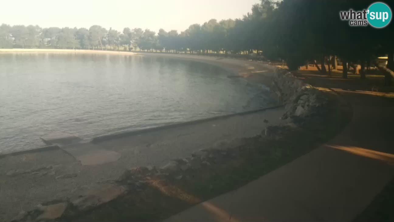 Cittanova – Spiaggia Karpinjan