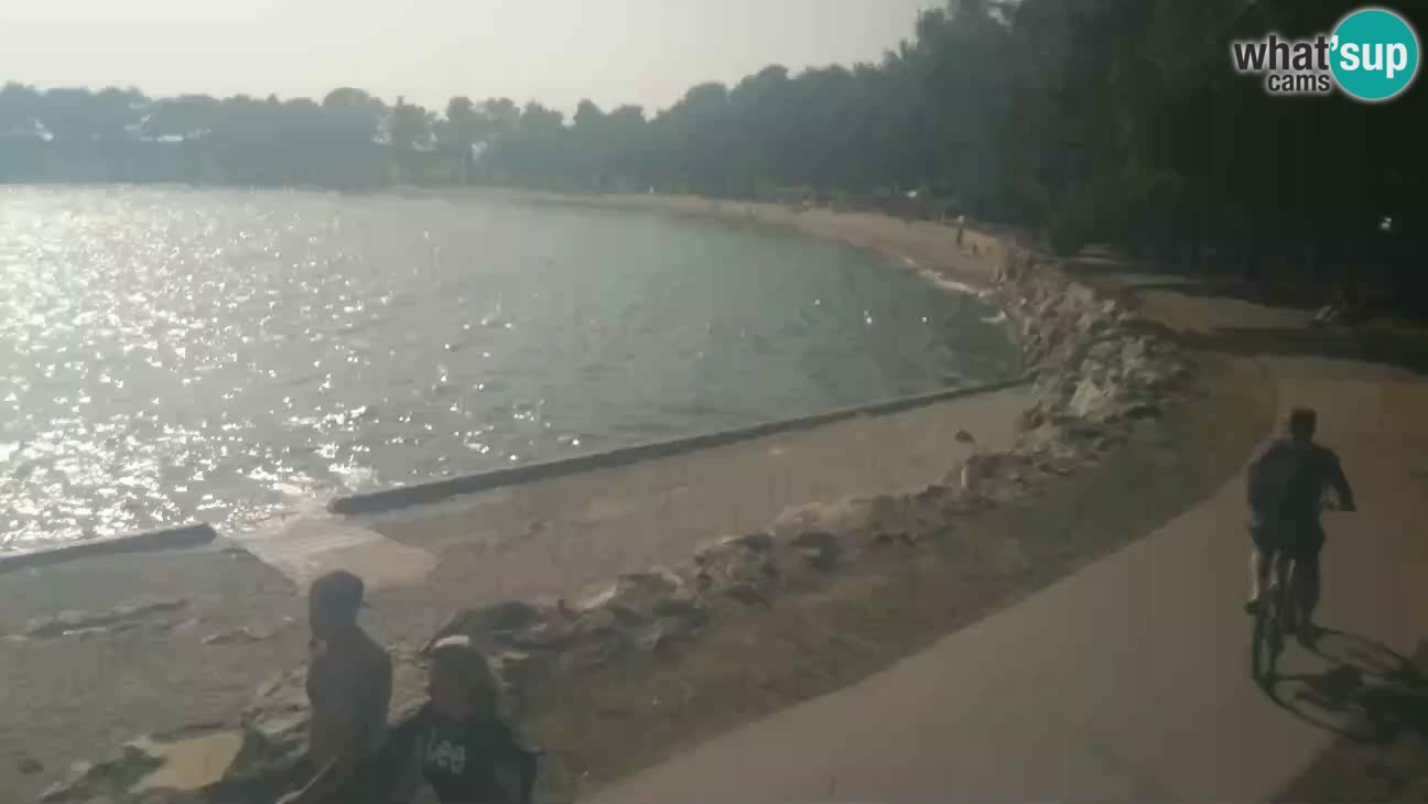 Novigrad – Plage Karpinjan